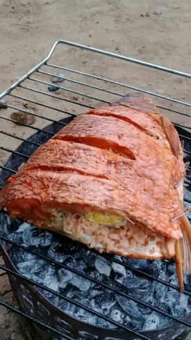 Début cuisson