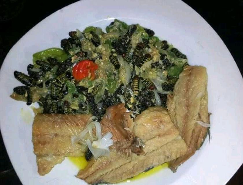 chenille et poisson salé