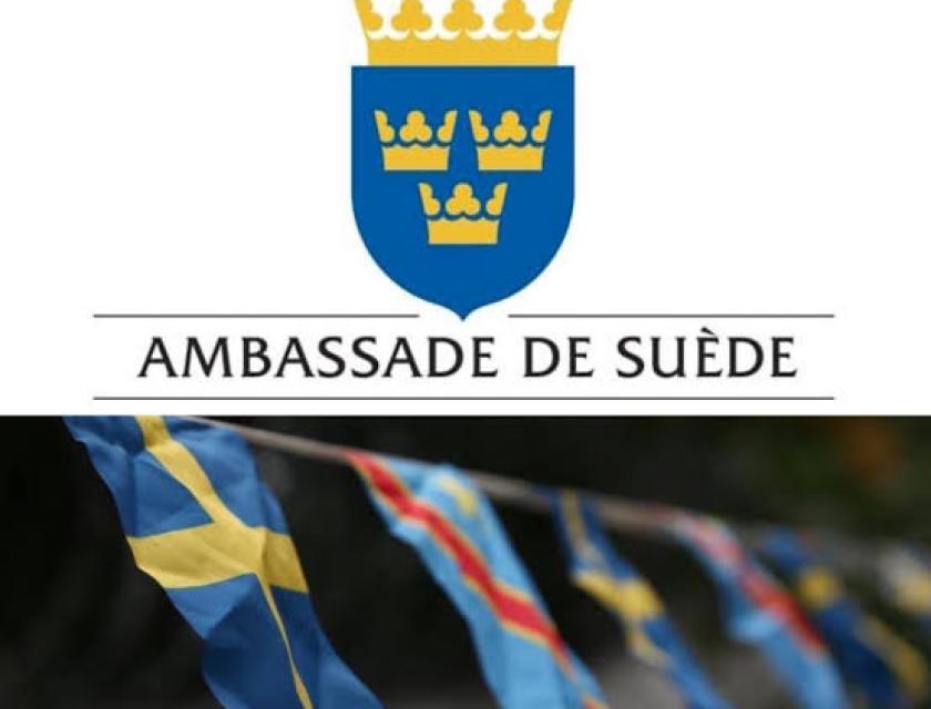 Logo suede