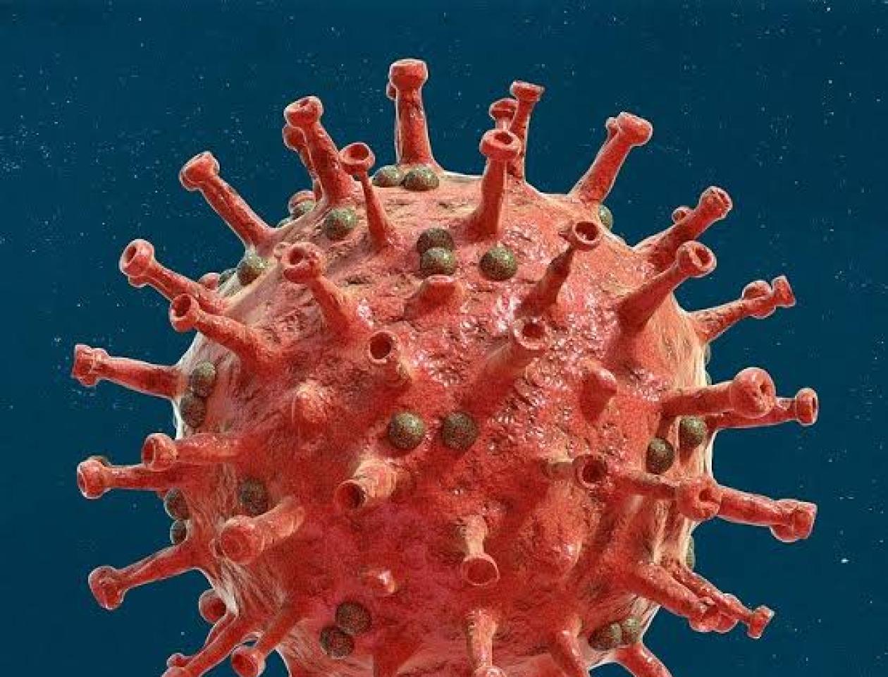 Coronavirus